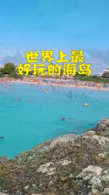 植物大战僵尸15